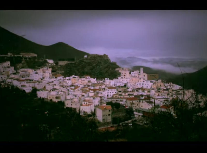 Documental "Los Últimos Despertadores"